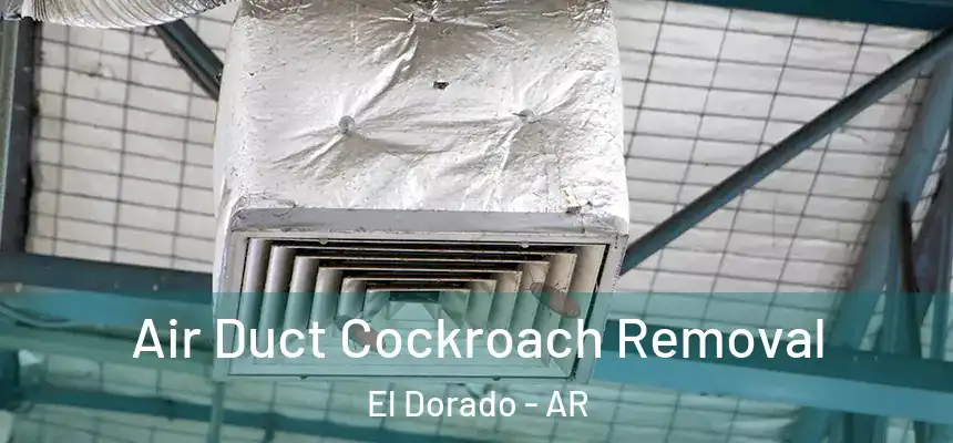  Air Duct Cockroach Removal El Dorado - AR