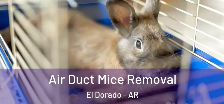  Air Duct Mice Removal El Dorado - AR