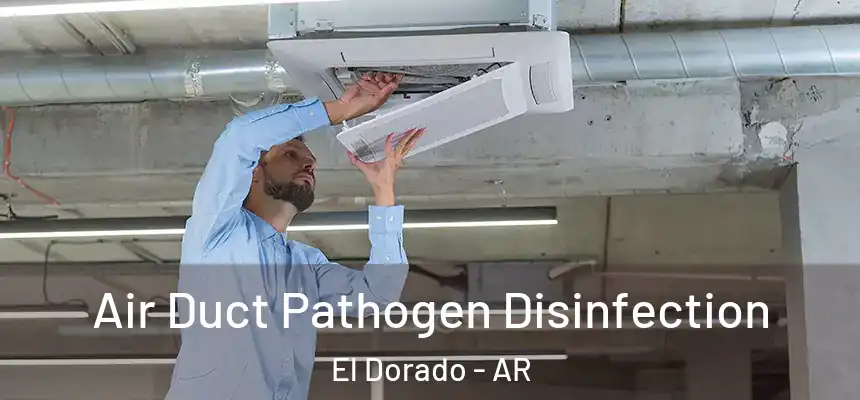  Air Duct Pathogen Disinfection El Dorado - AR