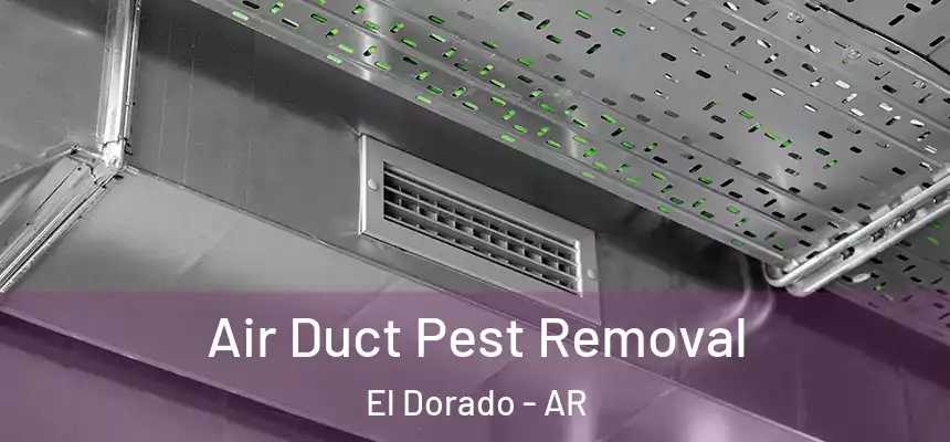  Air Duct Pest Removal El Dorado - AR