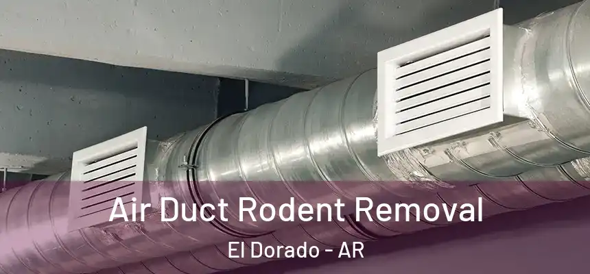  Air Duct Rodent Removal El Dorado - AR