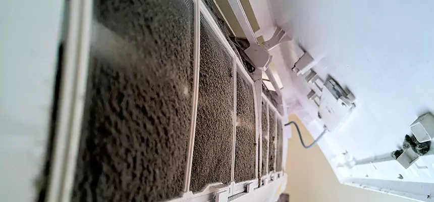 Preventive Air Duct Bacteria Removal in El Dorado