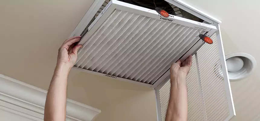 Preventive Cockroach-Proofing for Ducts in El Dorado