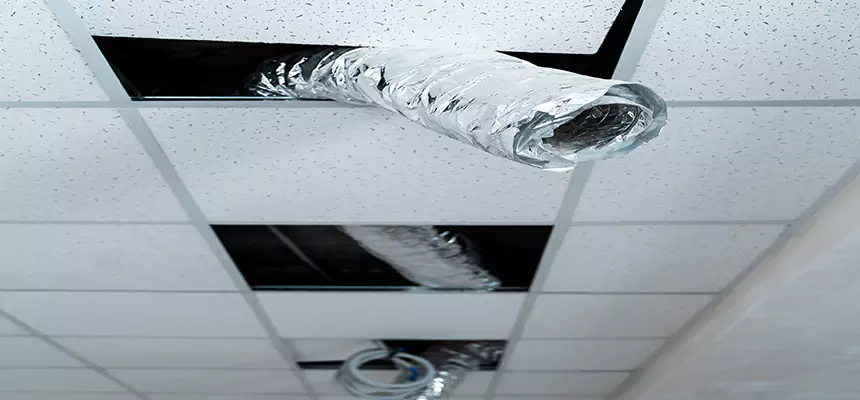 Affordable HVAC Sanitizing After Pest Removal in El Dorado