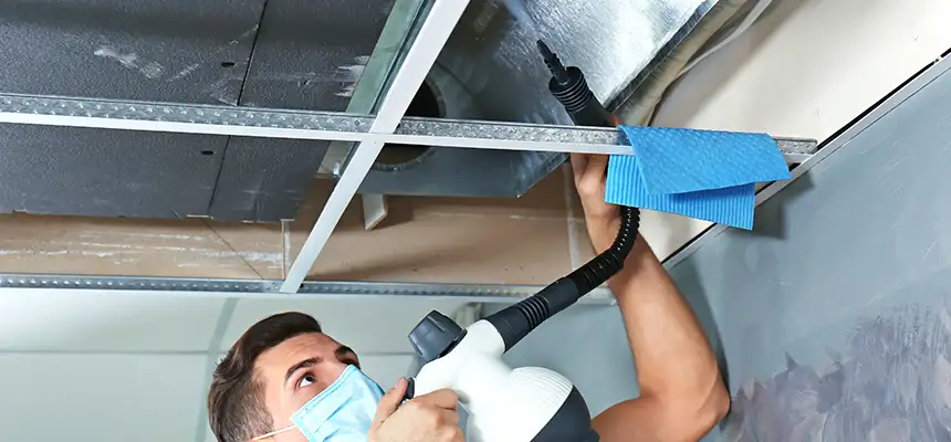 Our Air Duct Rodent Removal Services in El Dorado, AR