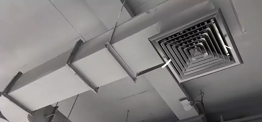 Restorative Allergy Relief Vent Cleaning – Coil, Blower & Housing Detail in El Dorado