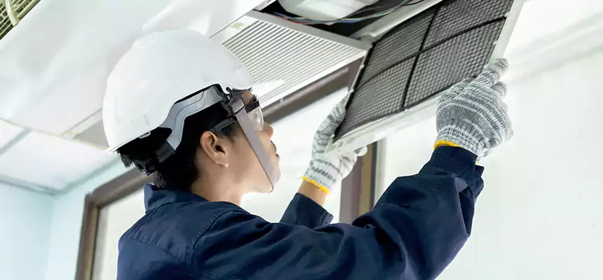 Our Mold & Mildew Removal from Air Ducts Services in El Dorado, AR