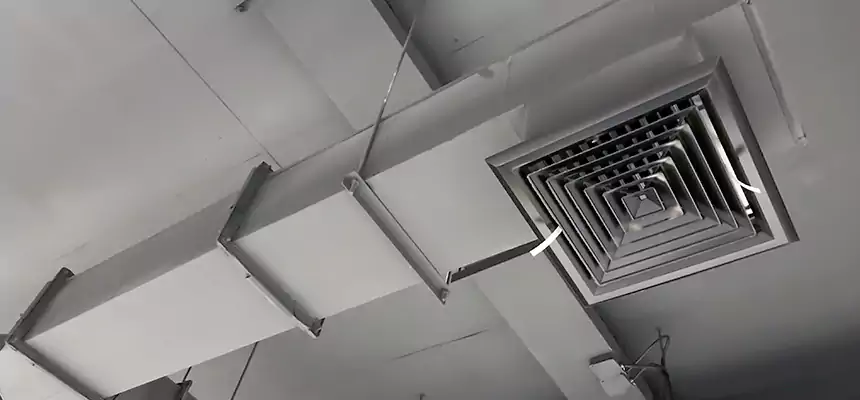 Our Rodent Droppings In Vents Services in El Dorado, AR