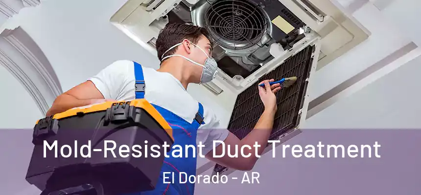  Mold-Resistant Duct Treatment El Dorado - AR