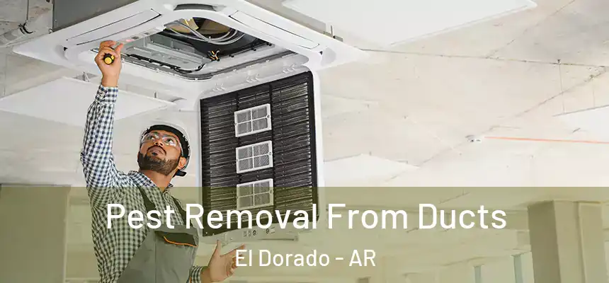 Pest Removal From Ducts El Dorado - AR