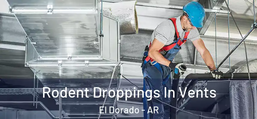  Rodent Droppings In Vents El Dorado - AR