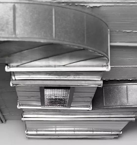 Professional Air Duct Pest Removal in El Dorado, AR