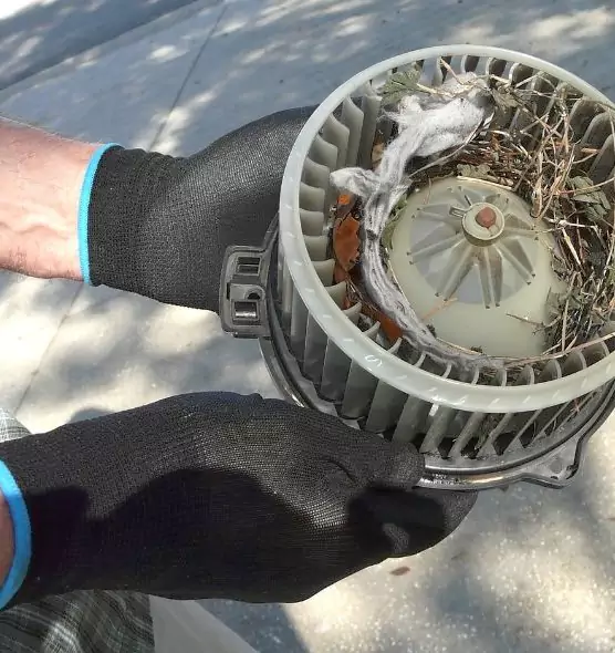 About Air Duct Rat Removal in El Dorado, AR