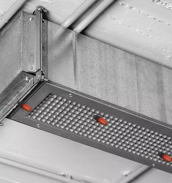 Affordable Insect Removal from Air Ducts in El Dorado, AR