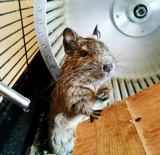 Why Homeowners & Businesses Trust Us El Dorado, AR