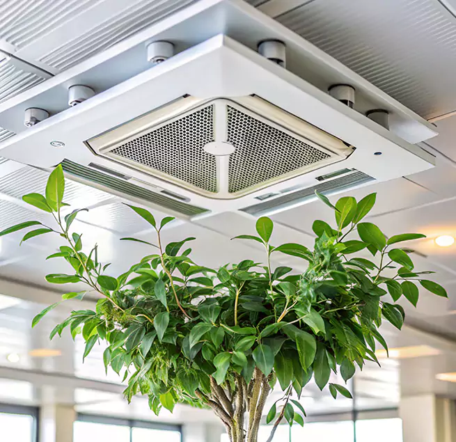 Why Homeowners & Businesses Trust Us in El Dorado, AR?